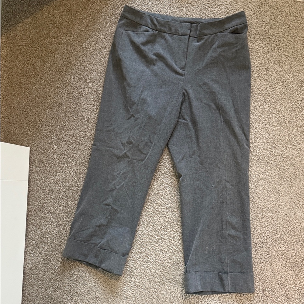Express Gray Ankle-Length Women's Pants